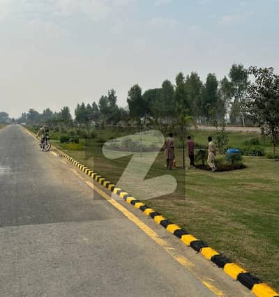 CC Block 5 Marla Plot For Sale