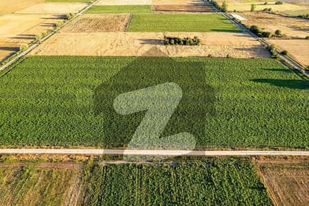 جاہمن لاہور میں 3 کنال زرعی زمین 50.0 لاکھ میں برائے فروخت۔