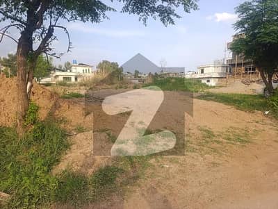 1 KANAL LEVEL PLOT FOR SALE