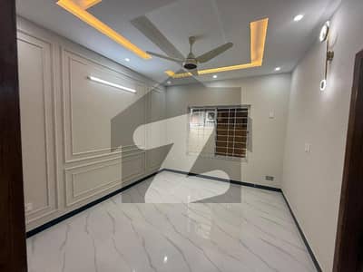 1000 Square Feet House In D-12 Of D-12 Is Available For Sale
