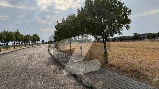 Prime Location Corner Plot For Sale Sector C1