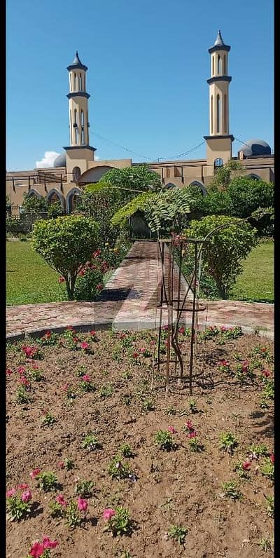 10 Marla beautiful plot available for sell in Regi model town Peshawar, Zone 4 Sector A3