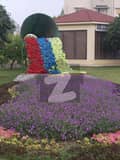 20 