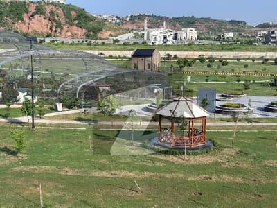 1 Kanal Solicitors And Level Land Plot At Prime Location