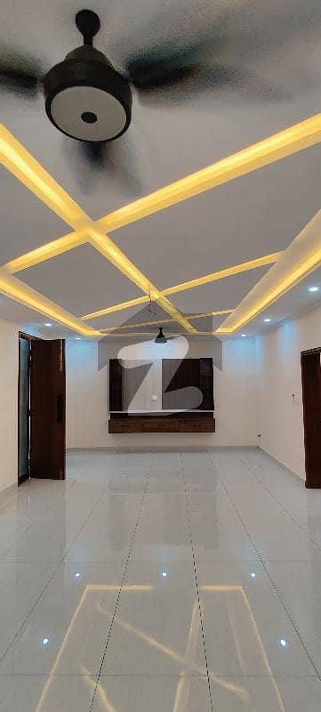 Brand New Full House