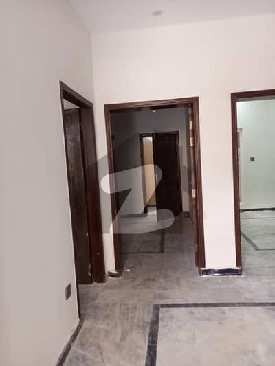 5 marla single story brand new house for rent