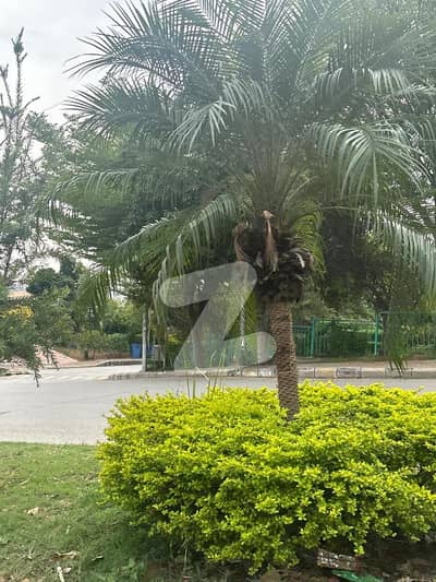 Plot For Sale In Bahria Town Phase 8