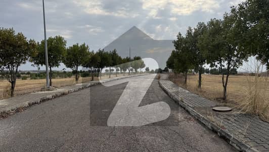 Prime Location Plot For Sale On 60feet wide Road Develop Possessionable