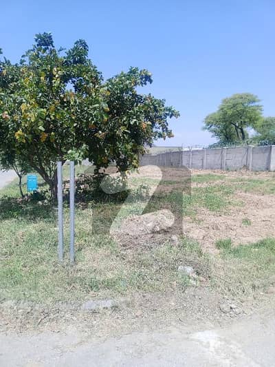 10 Marla Plot With Extra Land In Sector D