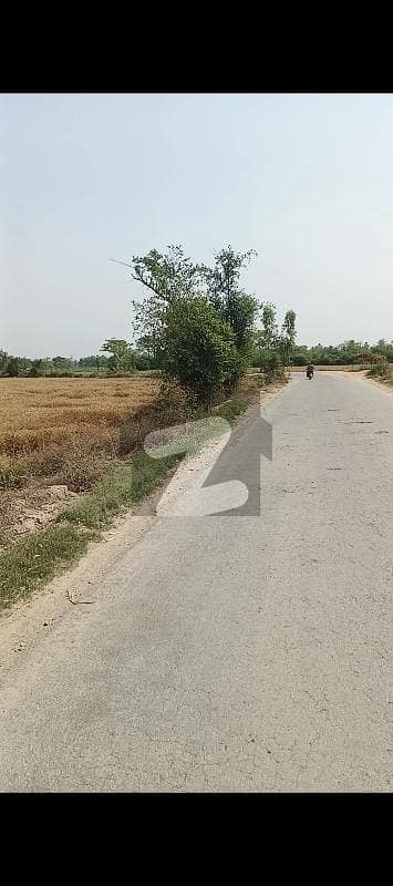 13.5 Acre Agriculture Land For Sale Bhamba Kanal Near Sundar Estate Under LDA