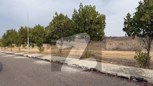 Prime Location Fully Developed Plot For Sale   Sector C3ext