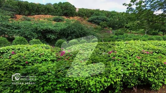 نیا ناظم آباد ۔ بلاک ایم نیا ناظم آباد,کراچی میں 5 مرلہ رہائشی پلاٹ 1.62 کروڑ میں برائے فروخت۔