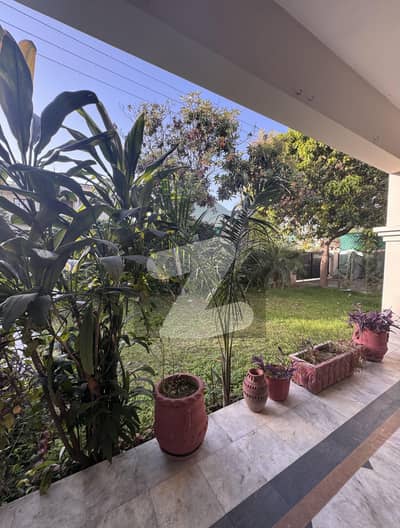 2 Kanal Single Storey Beautiful House With Extra Land Available For Rent In F-10