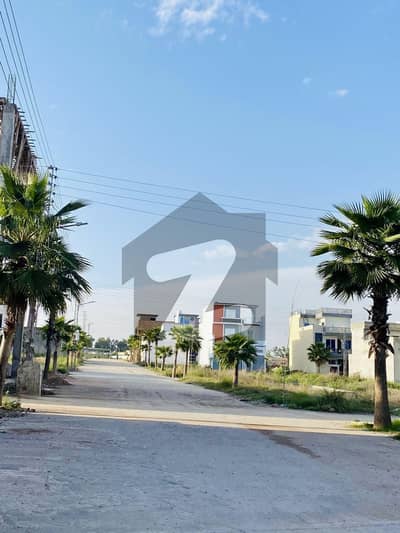 Corner 4 Marla Commercial Plot On Investor Rate In Executive BlyOf Zamar Valley