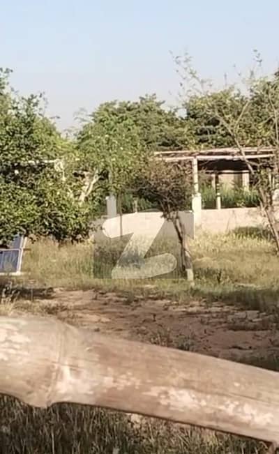 4 Acars Cattle Farm And Farmhouse For Sale