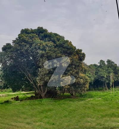 16 Marla Residential Plot Is Available For Sale On Aziz Bhatti Shaheed Road Sialkot Cantt