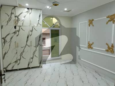 06 Marla Brand New Full House Available For Rent (Cavalry Ground Street 06)