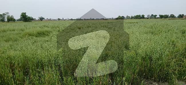 بیدیاں روڈ لاہور میں 8 کنال زرعی زمین 1.2 کروڑ میں برائے فروخت۔