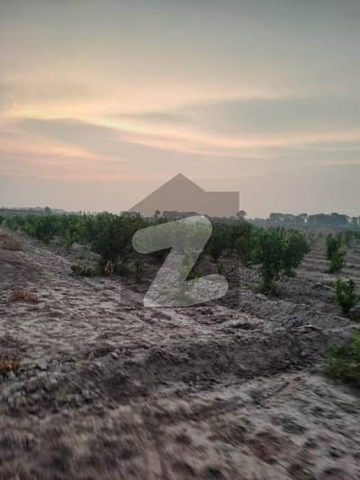 144 Kanal commercial land available for sale on Depalpur rode in Kasur