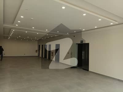 8Marla Basement Office For Rent