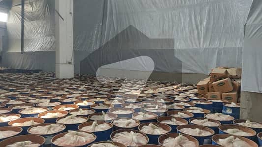 High-Capacity 17,500 Sq. Ft Premium Warehouse Rental Opportunity Well-Maintained, Secure & Business-Ready Space at Just Rs. 50/Sq. Ft Easy Deal with Motivated Seller (Wall Green Realtors)