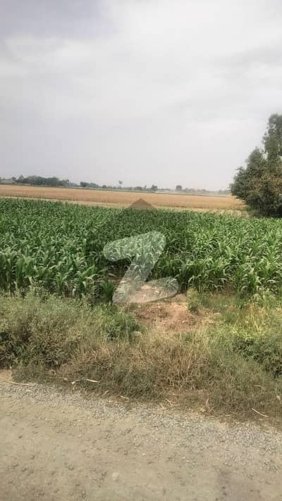 I'M Selling 32 Acre Raqba Urgent On Carpet Road.