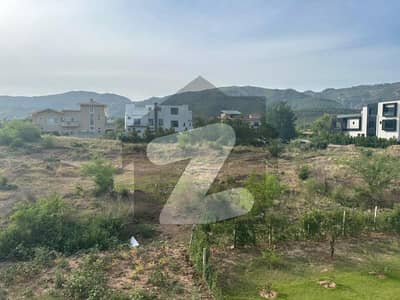 40*80 PLOT PRIME LOCATION