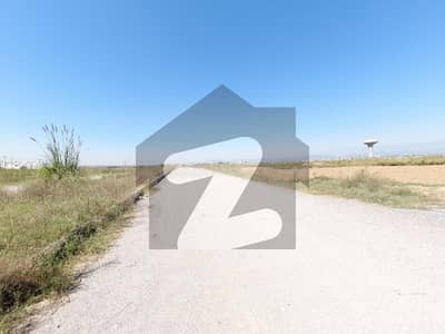 Level Plot Street No 12 For Sale