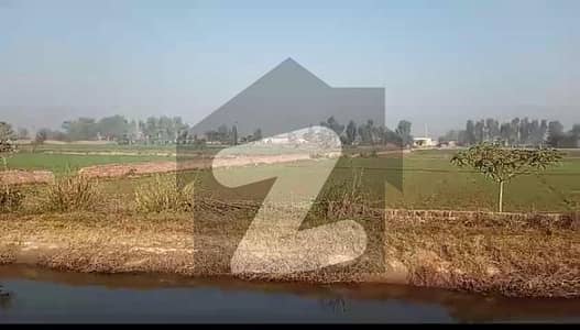 پنڈوکے لاہور میں 56 کنال زرعی زمین 15.75 کروڑ میں برائے فروخت۔