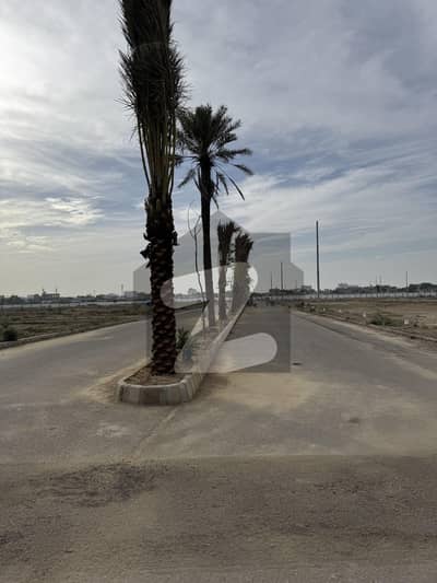 120 Yard Plot For Sale In Qasimabad Society By Punjabi Saudagaran Scheme 33