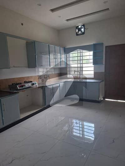 3200 Sq Feet ( 40*80 In Block B D-17/2 ) House Available For Sale.