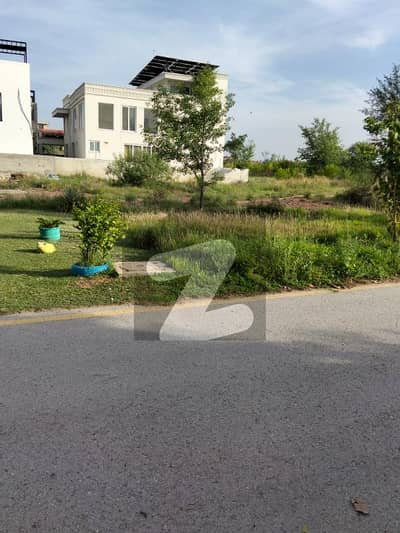 10 Marla Near Park Market Awesome Location Level Plot Available For Sale D-12 In Islamabad
