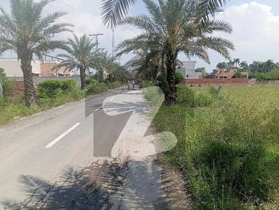 Canal Green 4 Kanal Plot With Boundary Wall