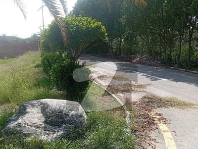 Prime Location Plot in Reasonable Price