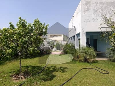 37 Marla Corner Farm House for sale