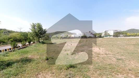 5 Kanal Dead End Corner, Solid & Level Plot for Sale