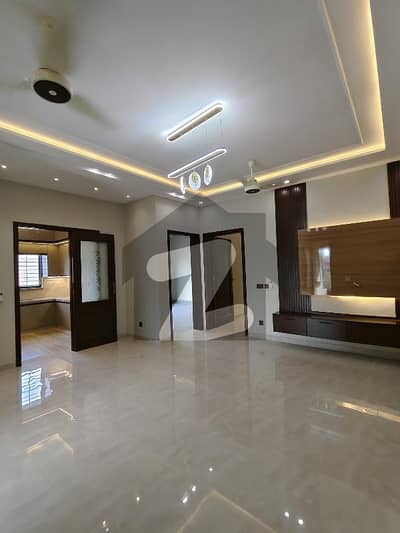 Beautiful Brand New Ground Prtion For Rent