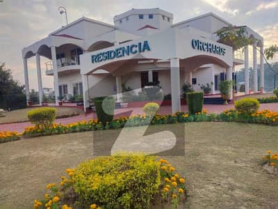 8 Marla Top Location Plot for sale in ROS block B