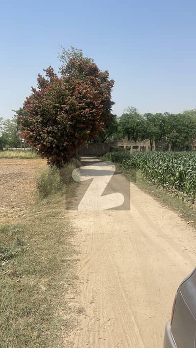 Near Cholistan 5 Kanal Land