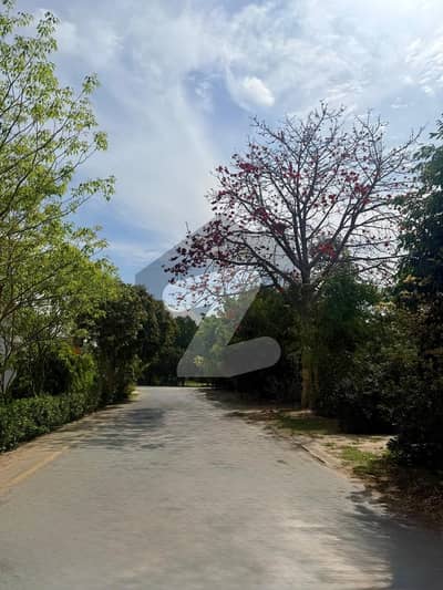 آئی ای پی انجنیئرز ٹاؤن ۔ بلاک ایف 3 آئی ای پی انجنیئرز ٹاؤن ۔ سیکٹر اے,آئی ای پی انجینئرز ٹاؤن,لاہور میں 18 مرلہ رہائشی پلاٹ 1.87 کروڑ میں برائے فروخت۔