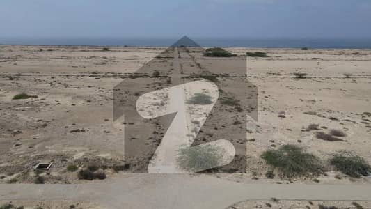 1000 Sq Yds Plot Near Sea in Phase 3