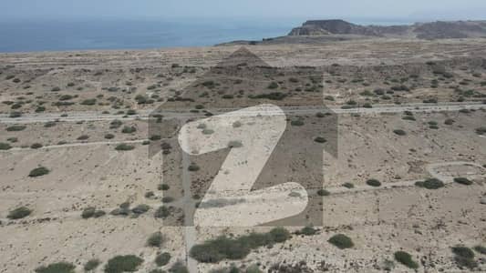 1000 Sq Yds Confirm Residential Plot Phase 3