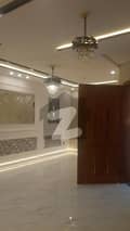 20 
