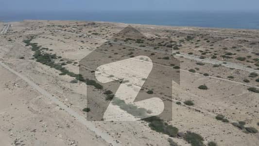 1000 Sq Yds Prime Plot Available in Phase 3