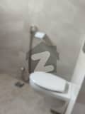 5 5