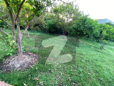 بنی گالہ اسلام آباد میں 8 مرلہ رہائشی پلاٹ 1.44 کروڑ میں برائے فروخت۔