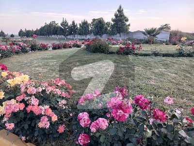 اپ کنٹری انکلوزر ہاؤسنگ سوسائٹی راولپنڈی میں 6 مرلہ رہائشی پلاٹ 27.0 لاکھ میں برائے فروخت۔