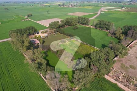 FARMHOUSE FOR SALE / INVESTMENT OPPORTUNITY