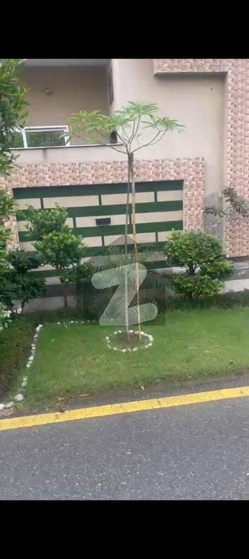 House Available For Sale