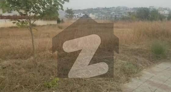 Premium Plot Sector C Solid Land